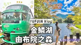 九州🇯🇵旅行EP4由布院｜搭乘夢幻「由布院之森」列車🚃前進大分縣、湯之坪街道吃喝走跳、初秋🍁金鱗湖、天祖神社⛩️水上鳥居｜Yufuin Vlog