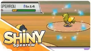 [Live] Full Odds Shiny Spearow at 3120 Head Butts!!
