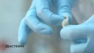 Bacterin OsteoWrap&reg;