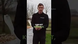 Heb jij al de juiste houtsnippers in je tuin?