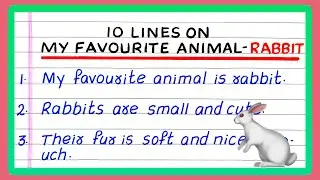 Few Lines on My Favourite Animal Rabbit | 10 Lines on My Favourite Animal Rabbit