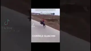 corre guachin 🤣🤣🤣🤣🤣