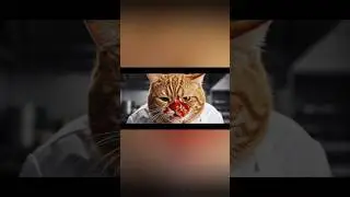 The Angry Chef Cat&rsquo;s Secret Recipe.#cats #animals #funny #tranding #cute #aishorts #youtubeshorts