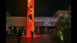 TeamLab Planets Tokyo - Floating Flower Garden