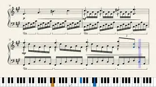 Pale Court (Piano Arrangement)