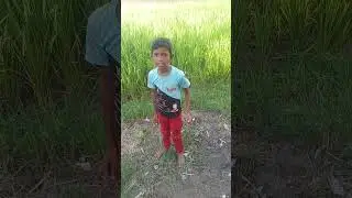 comedy funny 😁 😂 😀 😄 😆 video #digitalcomedy