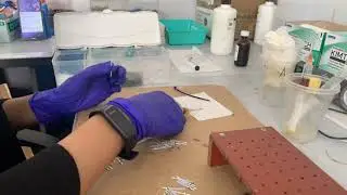 Epoxy during cable termination process