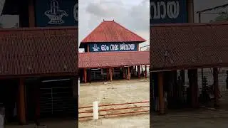 Aluva sree Mahadeva temple❤️ #peace #temple #hindhutemple #hindhureligion #kerala #aluva