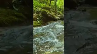 편안한 시냇물 흐르는 소리 Flowing Stream (Sound from Zapsplat.com) #백색소음, #공부할때 듣는 asmr, #잠잘때듣는 asmr