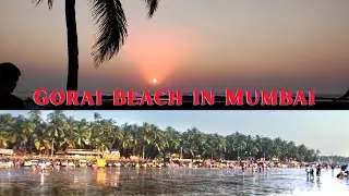Gorai beach | Tourist place Gorai  | Gorai Beach in Mumbai | 4K 2022 | Gorai