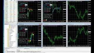 How To Make Exness Account And Free signal Follow