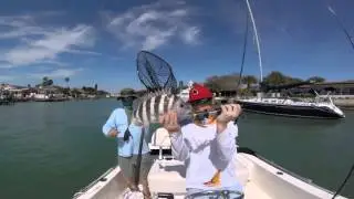 Three Days in St. Pete