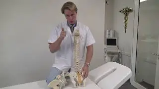 De Verschillende Oorzaken Van Rugklachten Samengevat - Dokter Mulder