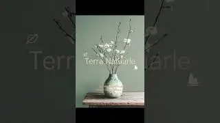 Earth’s Touch on Your Walls – Terra Naturale Training by Aarka Paints