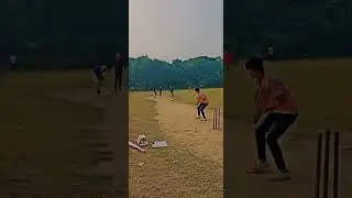 cricket lover ❤️🏏 #youtube #viral #views #bcci #cricketlover #trendingshorts #shorts #indvsaus