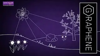How harmful is graphene?