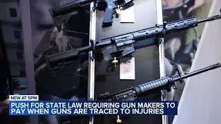 Illinois bill could make gun manufacturers pay for cost of violence