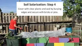Soil Solarization in the Home Garden