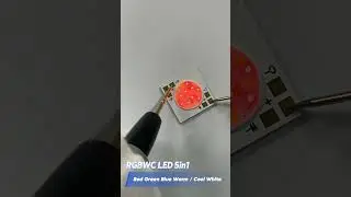 RGBWC 5 in 1 Color COB LED Chip #shorts