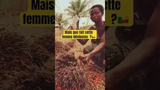 Une id&eacute;e ? #retourenafrique #diaspora #repats #businessenafrique #agriculture #b&eacute;nin #vivreenafrique