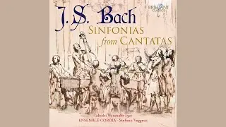 J.S. Bach - Sinfonia Cantata BWV 35 