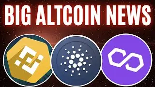 ОСНОВНЫЕ новости Cardano, Polygon, SHIBA INU и Binance + Горячая информация о IDO 29 декабря