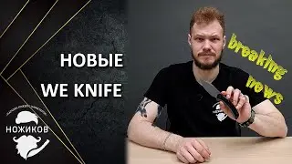 ELEMENTUM В ТИТАНЕ! Новинки бренда WE knife !