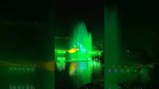 Amazing Light Show ✨ | চোখ ধাঁধানো আলোয়ের জাদু