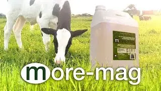 Spring is on it's way! Use More-mag&reg;
