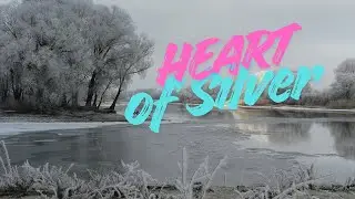 Heart of Silver