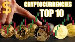 Top 10 Cryptocurrencies by Market Cap