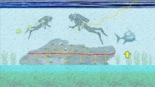 VOLADURA SUBACUÁTICA FALLA DEL CORDÓN DETONANTE