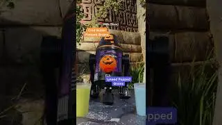 Frightfully Fun Galactic Treats | Star Wars: Galaxy's Edge at Disneyland Resort