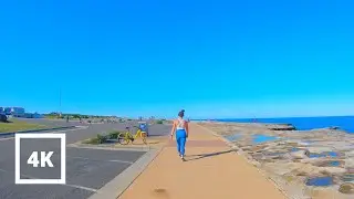 ⁴ᴷ Sydney Walk: Clovelly Beach + Calming Ocean Views  + Ambient Sound | Australia Walking Tour 4K