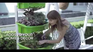ALTIFARM  Use homegrown veggies like a MasterChef