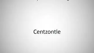 How to say Centzontle in English?
