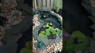 Creative small pond design ideas for your garden #shorts #shortsfeed #gardenlover #garden #gardening