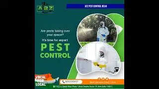 PEST CONTROL SERVICE IN Delhi NCR, Best Service Affordable price