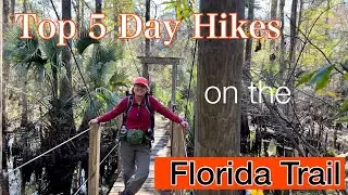 My Top 5 Favorite Day Hike Picks on the Florida Trail