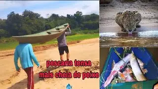 PESCARIA de VARADOR na beira do Rio PURUS (ACHAMOS A COMIDIA DELA)Pegamos muito peixe nessa pescaria