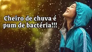 CHEIRO DE CHUVA (PETRICOR) É PUM DE BACTÉRIA!!!