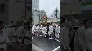 🇯🇵🔥 Sanja Matsuri 2025 &ndash; Tokyo&rsquo;s Wildest Festival! #short #SanjaMatsuri #AsakusaFestival #tokyo