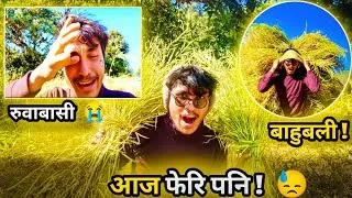 Finally ! Finally ! आजबाट सक्यो। आँखाबाट आँसुनै आयो ?|| Agricultur in Nepal .🌽#dreamvlogger 