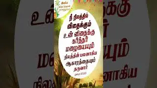 அனுதின மன்னா - || 15-01-2026 || #shorts #bible #jesus #prayer #biblestudy #shortsfeed #love #quotes