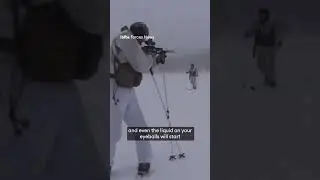 Cold killer: The two enemies in Arctic warfare