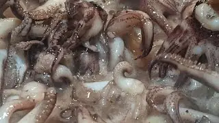 COOKING SPICY BABY SQUID TENTACLES FOR DINNER #recipes #squid #tentacles