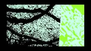 Ecilo - Under the Loop (Muted Rec)