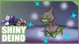 SHINY DEINO AFTER A TOTAL OF 141.682 RE'S & 9 PHASES!