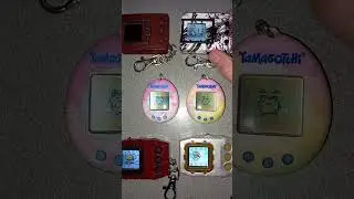 Tamagotchi Original Mametchi y Mimitchi cumplen 15 a&ntilde;os y Digimon Color Wargreymon cae derrotado.