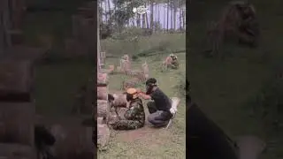 Paintball Cikole Lembang Bandung - Paket Liburan Wisata Outing Class 083820765653